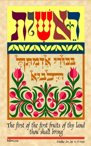 Print 'Shavuot': ornate Hebrew calligraphy reading 'the first of the first fruits of thy land' framed by pink pomegranates and green vines on cream parchment.