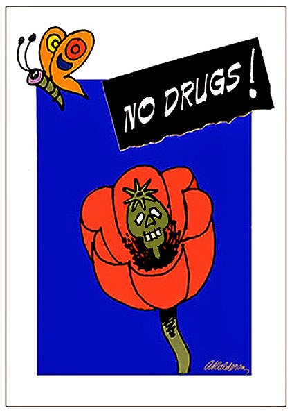 Social-issue poster 'No Drugs Anti-drugs 2': a skull-like decayed face inside a red poppy flower on a blue field, a cartoon butterfly above; torn black banner reads 'No Drugs!'
